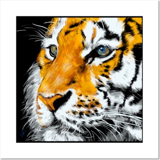 Tiger Art Posters and Art